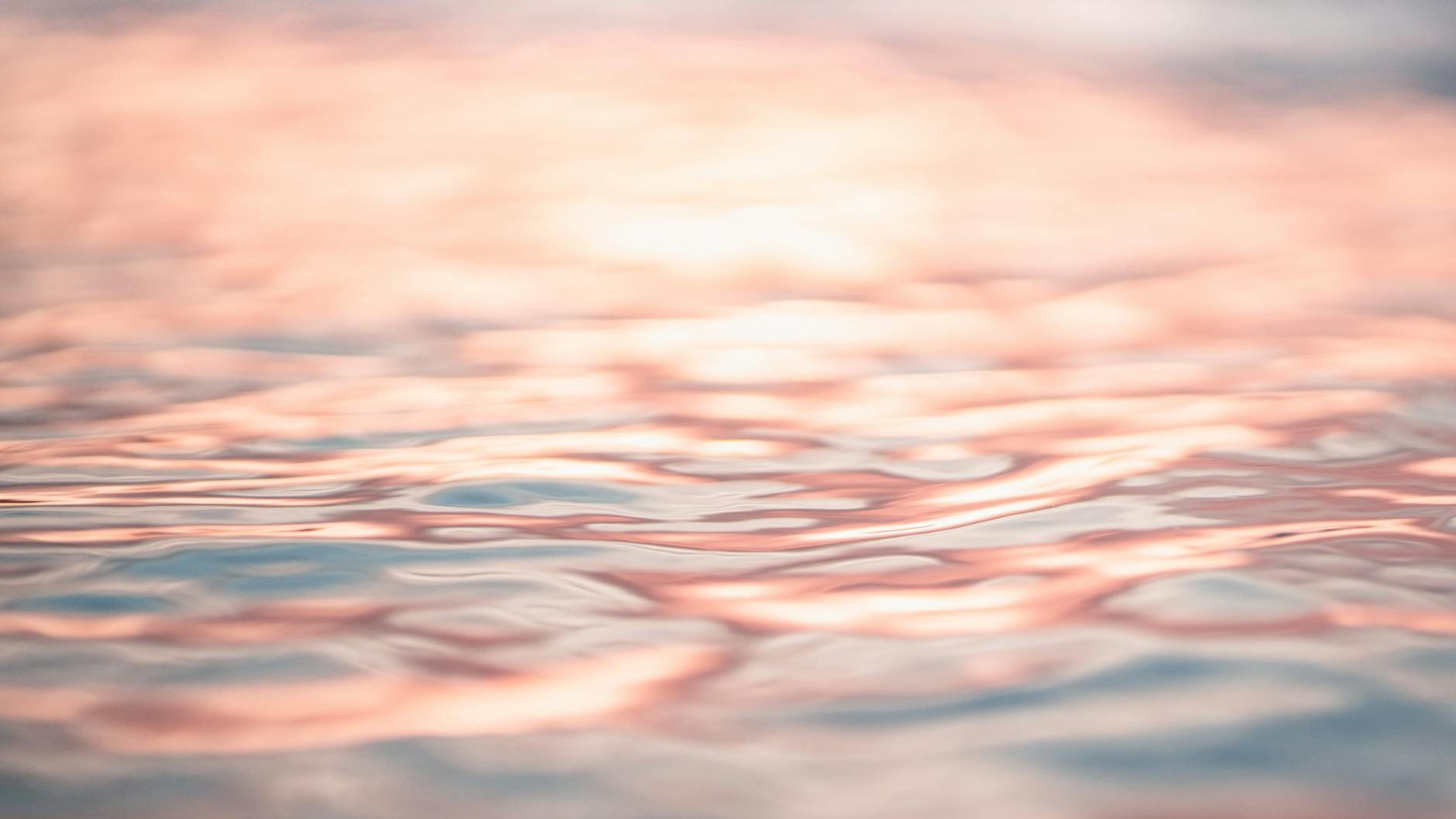 rippling seawater reflecting pink evening sky