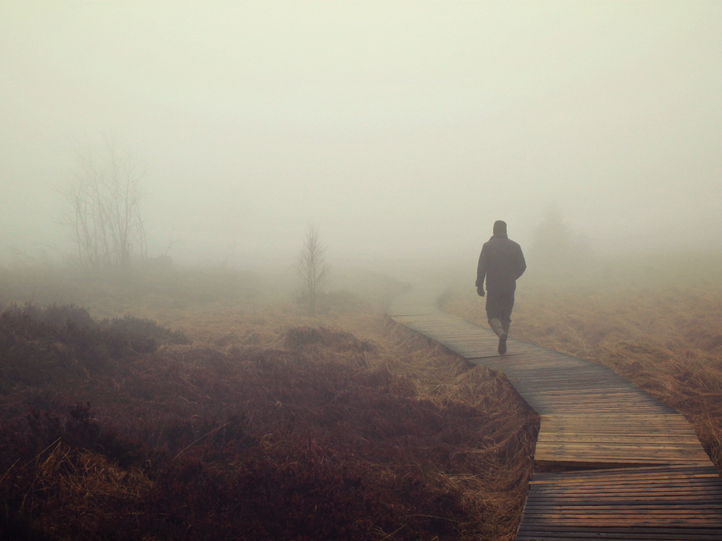 人生真的有一條「適合自己的路」嗎？